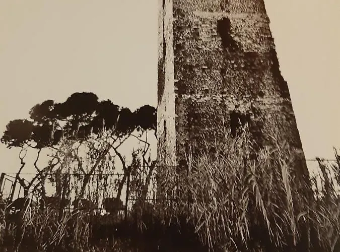Cinecitta דירה רומא